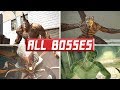 The Amazing Spider-Man: (All Bosses)