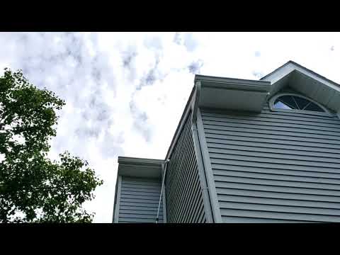 Carpenter Bees Soar High in Ocean Township, NJ