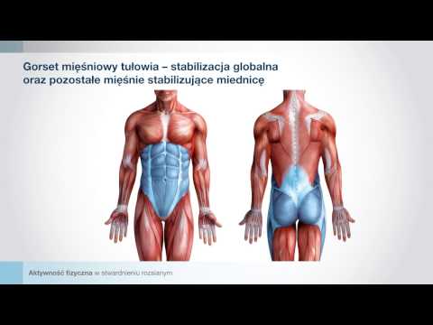 Wszystkie najbardziej przydatne dla potencji wideo Napoje z imbiru do zwiększenia potencji