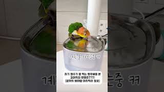 유튜브 썸네일