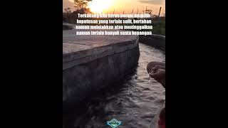 Download lagu story wa 30 detik || story wa keren || story wa lagu #storywa #tiktokviral #storywa30detik mp3
