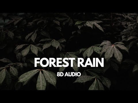 8D Forest Rain – Immersive Audio 🎧