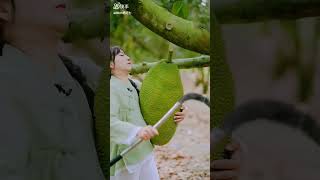 Cute Lady cutting fruits