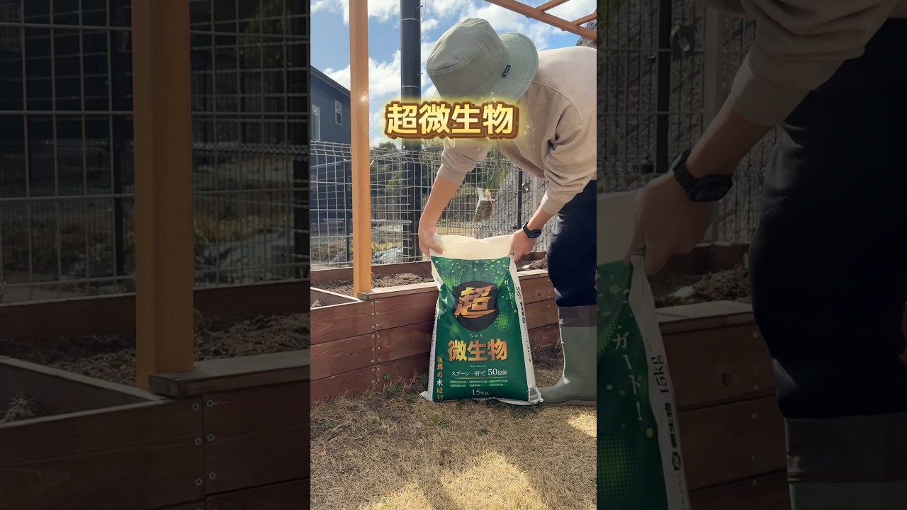 微生物迷子卒業しよう🎓