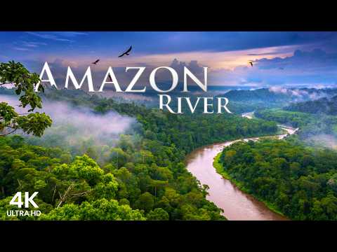 Amazon River in 4K – Aerial Drone Journey Through the Heart of the Rainforest