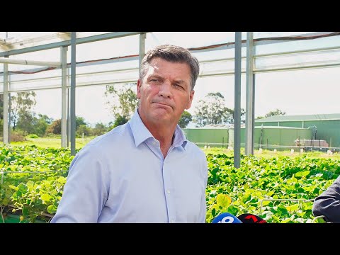 Pauline Hanson discusses the Coalition and One Nation's political support