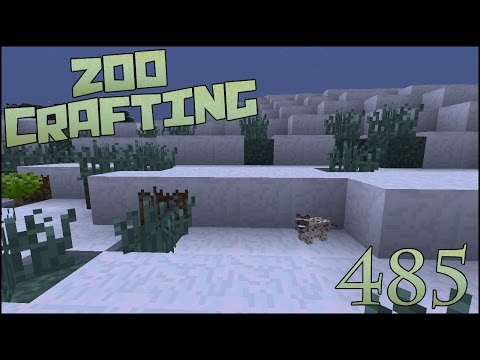 Collecting Emperor Penguins!! 🐘 Zoo Crafting: Episode #485