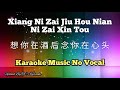 Xiang Ni Zai Jiu Hou Nian Ni Zai Xin Tou 想你在酒后念你在心头 Karaoke No Vocal