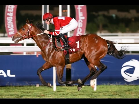 35th Race Meeting of Season 2016 / 2017