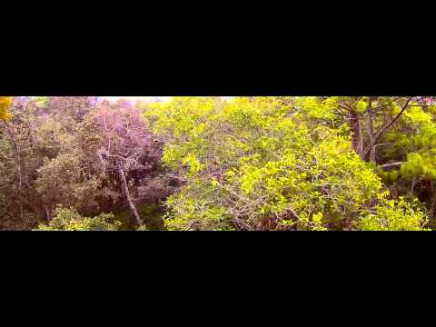 Rocio Montenegro - Dios de toda la tierra (VIDEO OFICIAL HD)