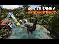 How to tame a Brachiosaurus In ARK Survival Evolved #ark #Brachiosaurus #arksurvivalevolved