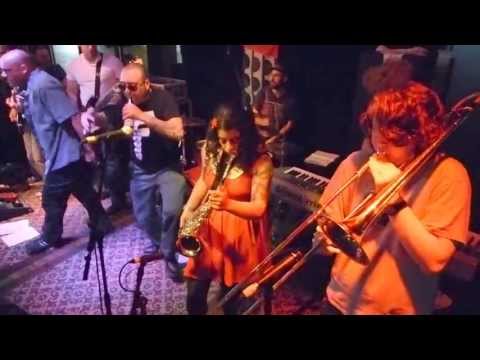 Inspecter 7 - Sharky 17