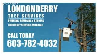 preview picture of video 'Tree Pruning Londonderry | (603) 782-4032 | Tree Service Londonderry NH | 03053'