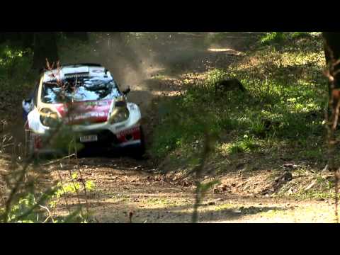 Video der Veranstaltung Rallye Waldviertel