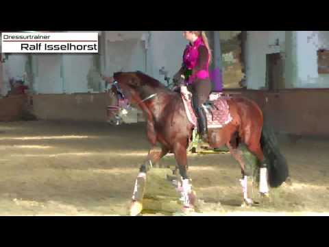www.dressurtrainer-isselhorst.de - Kurzkehrt und halbe Paraden in der Galopparbeit