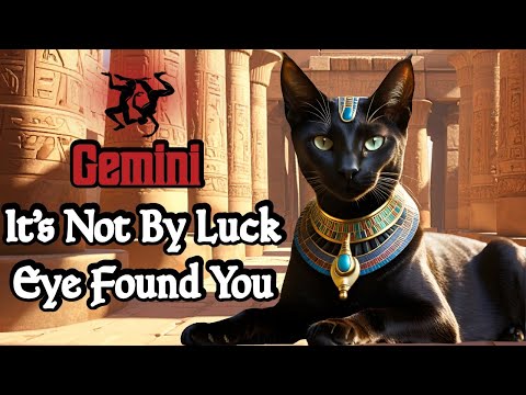 👁️Gemini |♊Made Official—Any Distractions Get Extracted