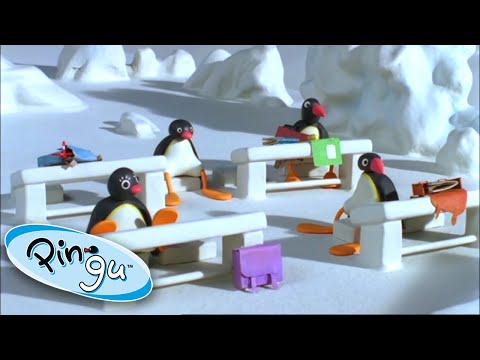 Pingu Returns to School! | Pingu Official | Cartoons for Kids