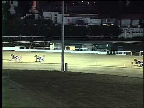 Trotto 25/07/2015 - 3° prova di qualifica