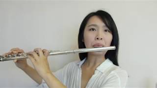 張學友Jacky Cheung - 她來聽我的演唱會She Came To Listen To My Concert-----Flute cover by Fanny