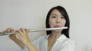 張學友Jacky Cheung - 她來聽我的演唱會She Came To Listen To My Concert-----Flute cover by Fanny