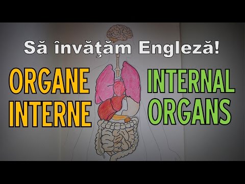 Recâștigați-vă vederea descărcarea 2020