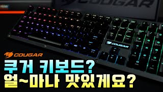 퀘이사존
