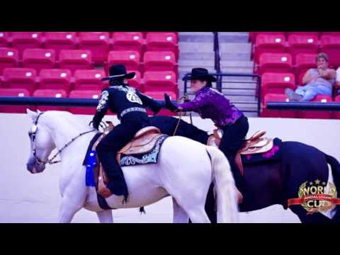 Andalusian World Cup 2015