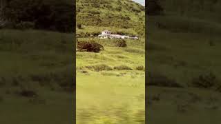 J&D on the sea,#sintmaarten #travel #cruisetour