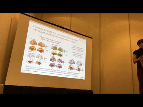 Network Neuroscience 2017 | Danielle Bassett