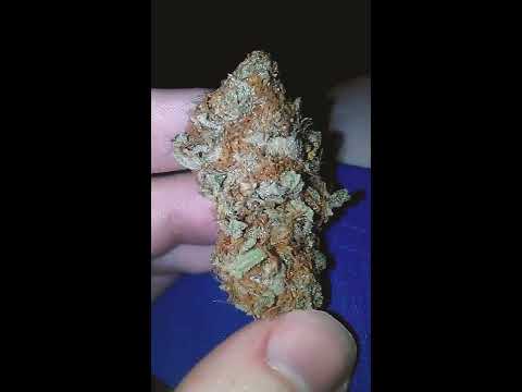 Pure Kush.