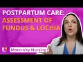 Assessment of Fundus and Lochia - Maternity Nursing - Postpartum Care | @LevelUpRN