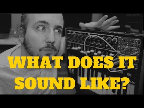 What Does The MiniBrute 2 Sound Like?