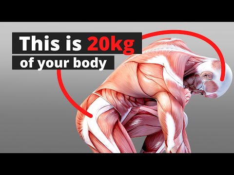 Understanding Fascia – Flexibility, Power & Pain