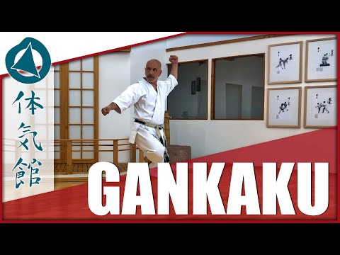 HOW TO: GANKAKU – SLOW & FAST | Shōtōkan Karate Kata by Fiore Tartaglia
