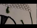 Bikini Photo Shoot Chain Mail Bikini