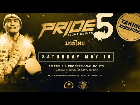 Pride Fight Series 5 Review