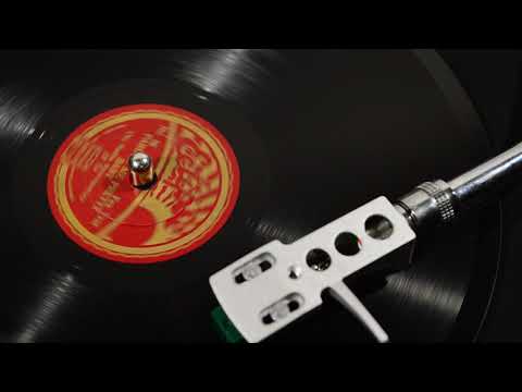 THE RADIO SYNCOPATORS - Pardon me pretty baby