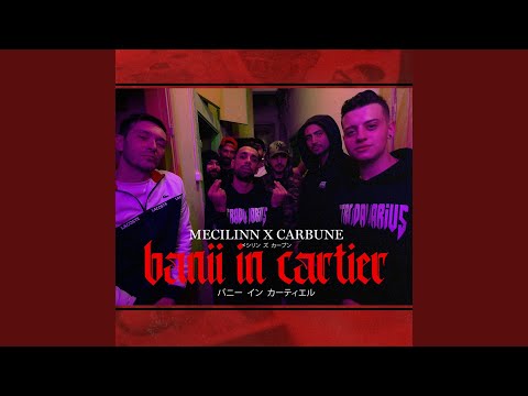 Banii in cartier (feat. Mecilinn, Carbune)