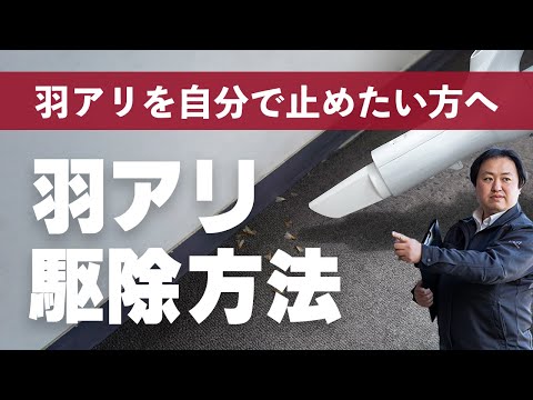飛んでいるアリと効果的に戦う トピックス