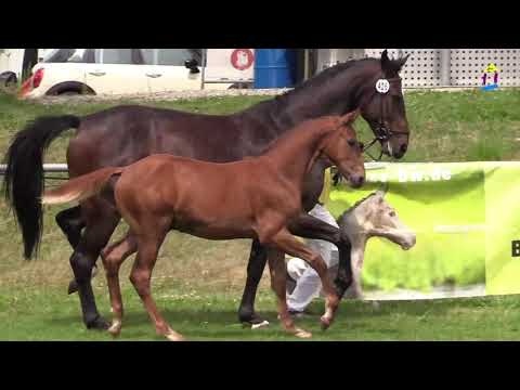 20 My Pleasure v. Morricone - Foundation