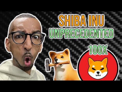 SHOCKING Shiba Inu News: Mass Update Unveiled - What Does It Mean For Prices?