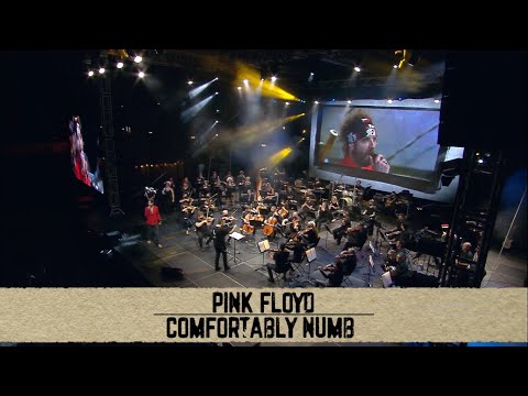 The Symphonic Rock Show: Pink Floyd - Comfortably Numb