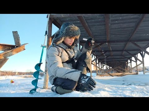 Фото Щуки под мостом атакуют балансиры!!! Клюют только опусти! О такой рыбалке только мечтать!