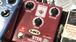 Video thumbnail for Musikmesse '12 - T-Rex Effects Tapster and Roommate Demos by Premier Guitar