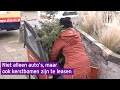 Niet alleen auto's, ook kerstbomen zijn te leasen