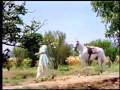 NEEL GHAGAN PAR Film KHANDAN Song MOHD RAFI AND ASHA BHONSLE Flv