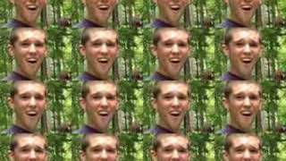 Lonesome Electric Turkey