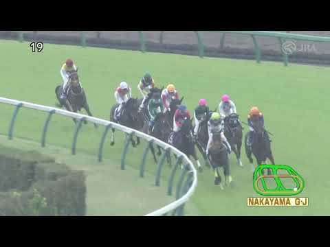 2023.04.15 Nakayama Grand Jump (JPN) - Irogotoshi