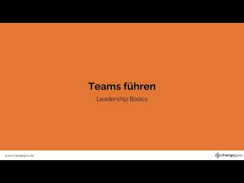 Webinar 17 - Teams führen