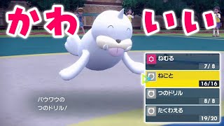 俺のかわいいパウワウを見てくれ！【ポケモンSV】